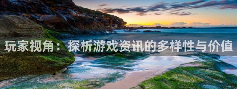 杏宇娱乐下载链接：玩家视角：探析游戏资讯的多样性与价值