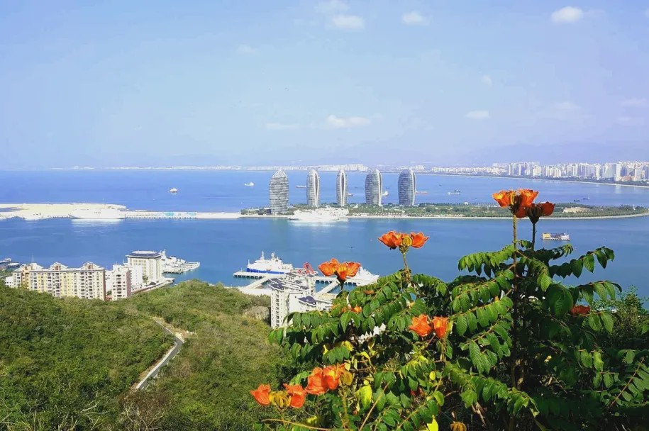 椰影伞下思乡情,海南岛风情画卷展眼前